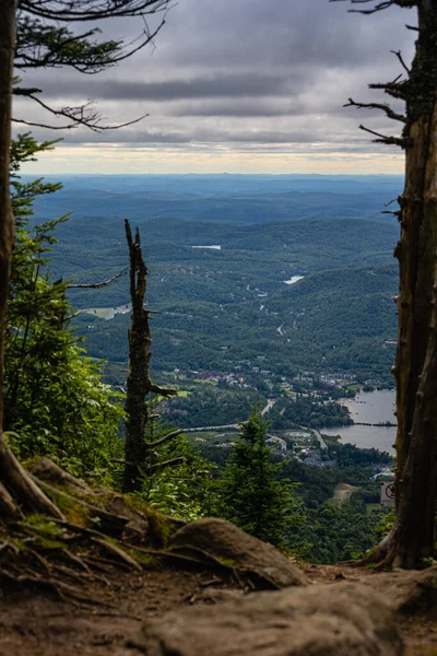 Vista Exuberante Panorama Floresta Boreal Topo Montanha Tremblan Mont Montanhas — Fotografia de Stock