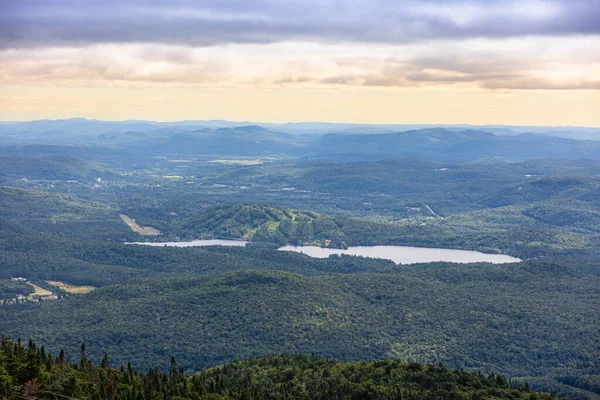 Lummig Boreal Skog Panorama Utsikt Från Toppen Mont Tremblan Darrande — Stockfoto