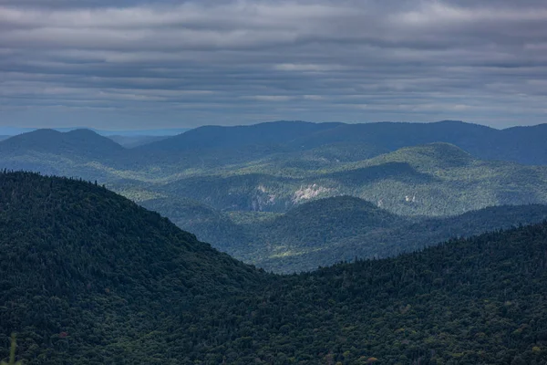 Mont Tremblan 'ın tepesinden Laurentian Dağları' nın verimli bir orman manzarası.