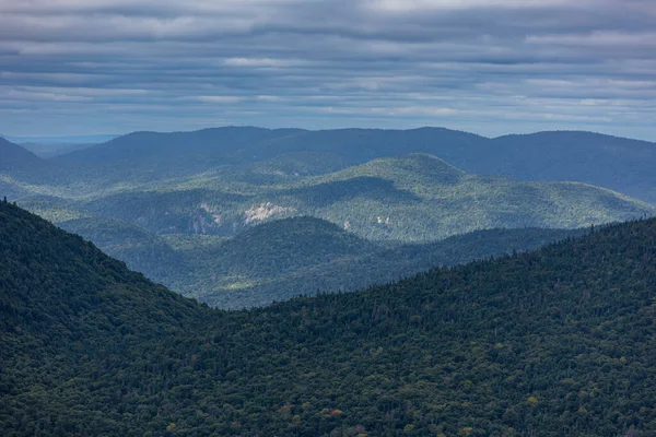 Lummig Boreal Skog Panorama Utsikt Från Toppen Mont Tremblan Darrande — Stockfoto