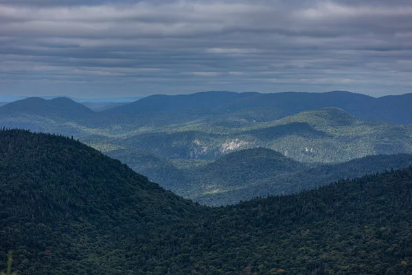 Bujné Boreální Lesní Panorama Pohled Vrcholu Mont Tremblan Třesoucí Hora Stock Snímky