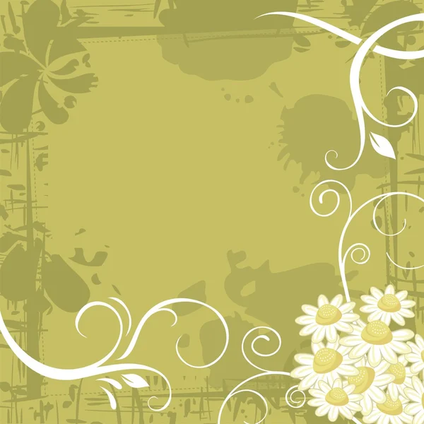 Chamomile Background — Stock Vector