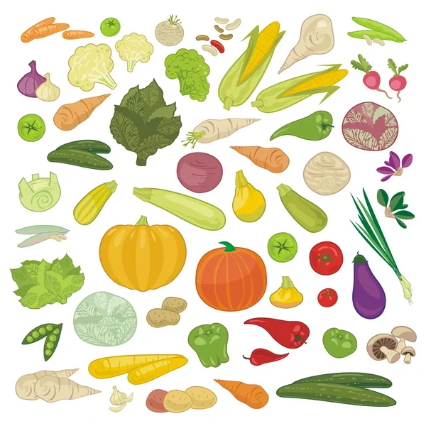 Ensemble de légumes — Image vectorielle