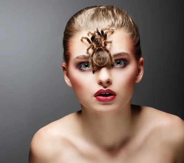 Eng arachnid roofdier op schoonheid vrouw gezicht zitten — Stockfoto