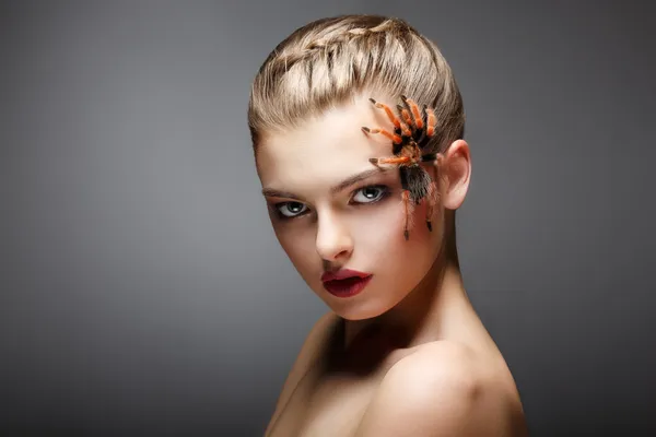 Portrait of Spider-Girl Fashion Model with Poisonous Spider on her Face — Stock Photo, Image