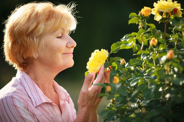 Expressão. Modelo de mulher sênior com rosas de jardim. Primavera. — Fotografia de Stock