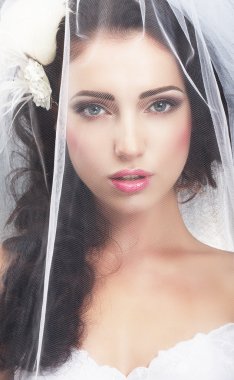 Delicacy. Caucasian Woman Hidden behind Traditional Bridal Veil clipart