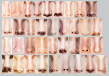 Body Parts. Great Variety of Women's Noses. Set of Nostrils clipart