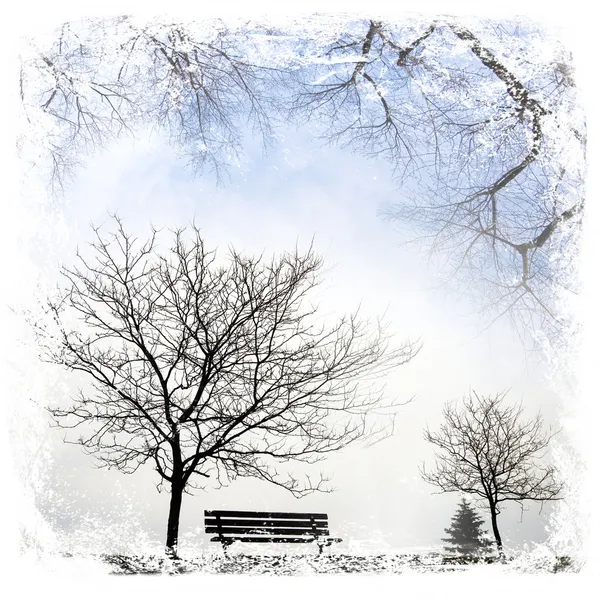 Winterlandschap met verjaard boom — Stockfoto