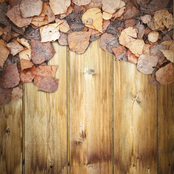 Verschoten bladeren op houten vloer — Stockfoto