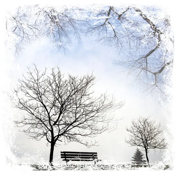 Зимовий пейзаж з колючим деревом Ліцензійні Стокові Фото