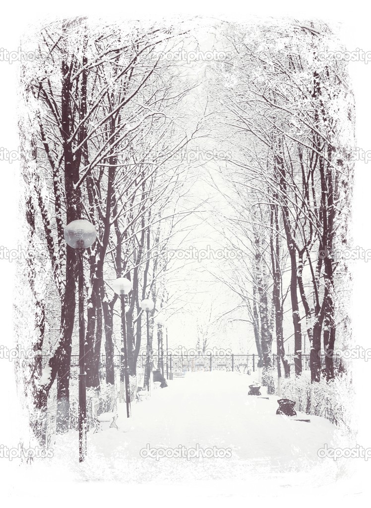 Winter walkway in a park