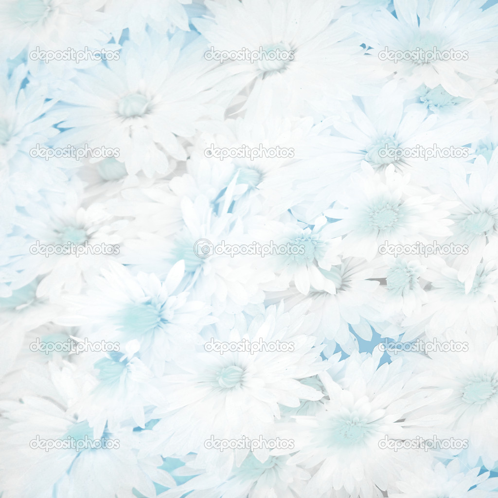 bright blue flowers background