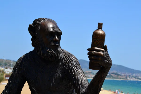 Скульптура мавпи завод аніс-дель-моно — стокове фото