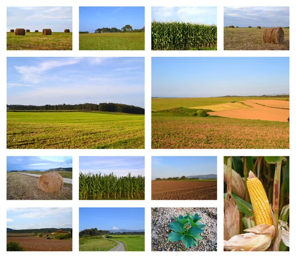 Paisajes rurales collage — Foto de Stock