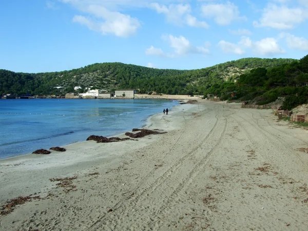 イビサ島、スペインで ses サリンス ビーチ — ストック写真