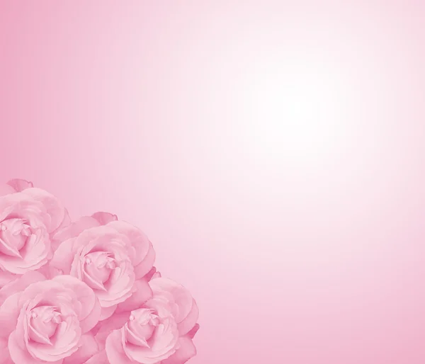 गुलाबी फुले पार्श्वभूमी — स्टॉक फोटो, इमेज