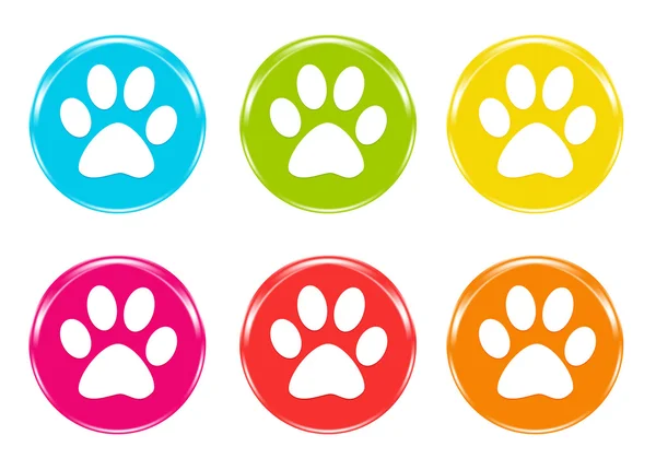 Set of icons with pet footprints — Stock Photo, Image