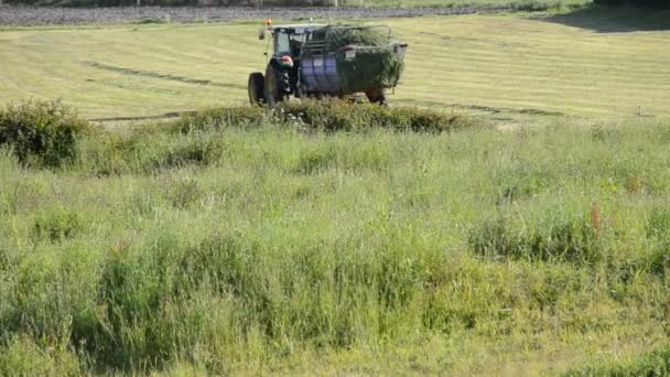 Tractor en el campo — Vídeos de Stock