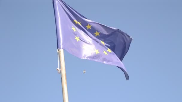 European flag waving — Stock Video