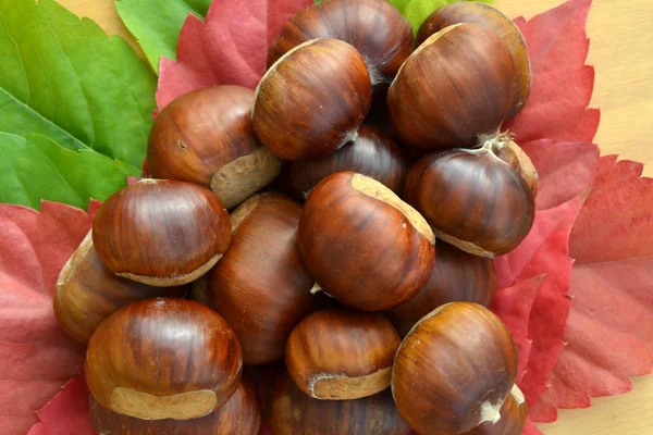 Chestnuts — Stock Photo, Image