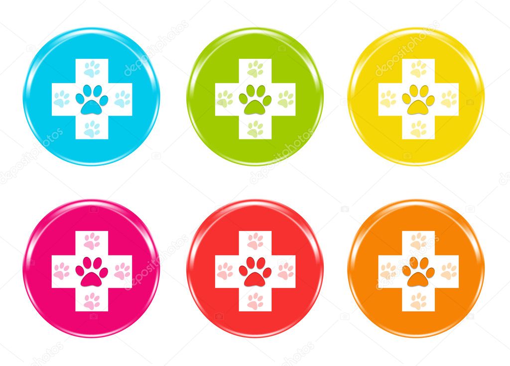 Set of colorful icons with veterinary symbol
