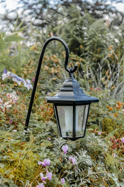 Aufhängen von solarbetriebenem Licht im Garten — Stockfoto