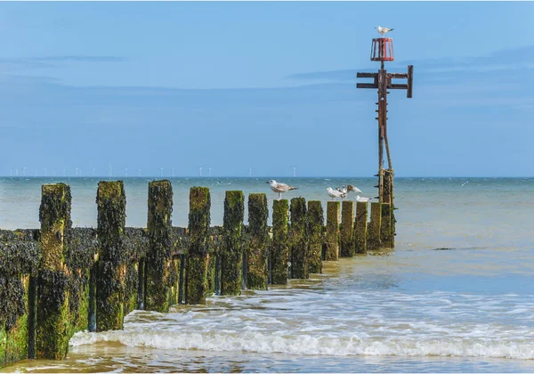 木製の防波堤が海に入るとシーサイド — ストック写真