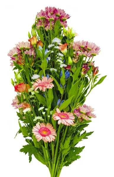 Valikoima kukkakimppu valkoisella taustalla — kuvapankkivalokuva