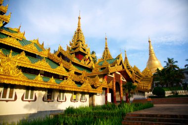 budist tapınağı yakın 