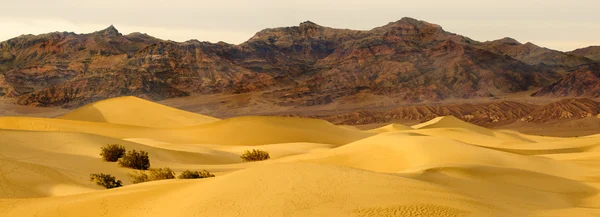 Mesquite dunes death Valley şafak — Stok fotoğraf