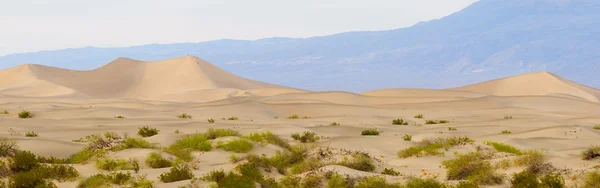 Mesquite dunes death Valley şafak — Stok fotoğraf