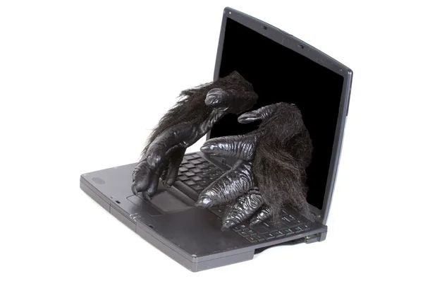 Gorila dentro do computador de reparação — Fotografia de Stock