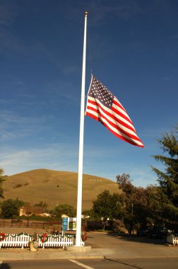 Amerikan bayrağı