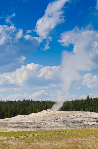 Old Faithful geyser — Stock Photo, Image