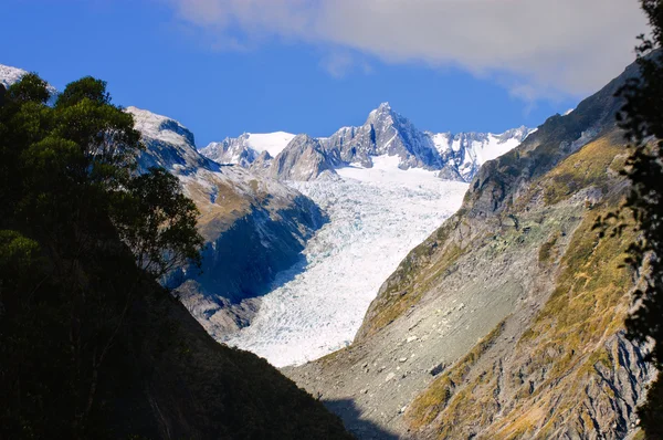 Fox Glacier w Wyspy Południowej Nowej Zelandii — Zdjęcie stockowe
