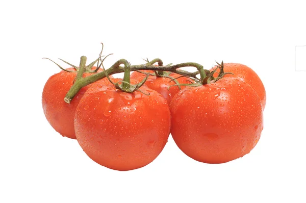 Tomates frescos isolados a branco — Fotografia de Stock