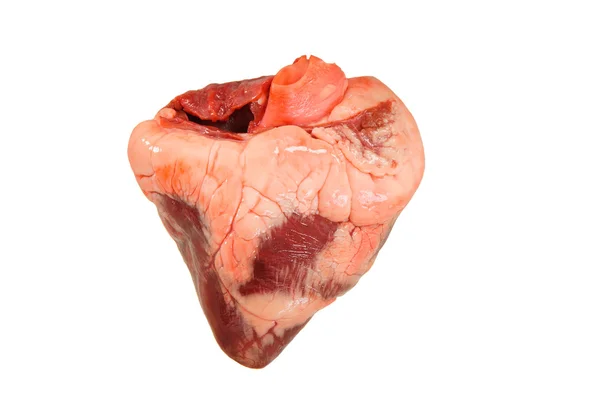 Människans hjärta hjärta — Stockfoto