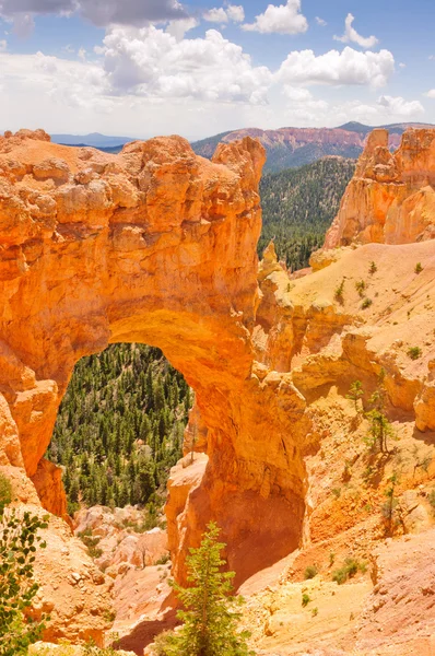 Parco nazionale del Bryce Canyon — Foto Stock