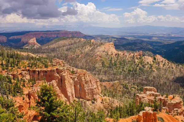 Bryce Canyon Nemzeti Park — Stock Fotó