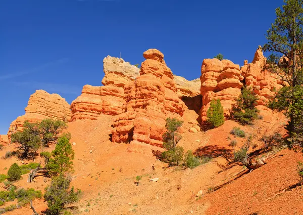 Parc national Cedar Breaks — Photo