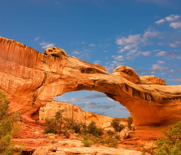 Capital Reef National Park — Stock Photo, Image