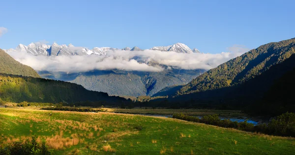 Fox Glacier i Nya Zeelands södra ö — Stockfoto