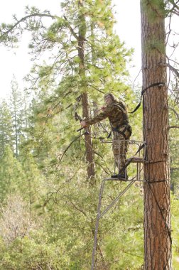 Bow hunter