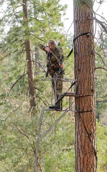 Bow hunter — Stock Photo, Image