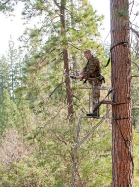 Bow hunter