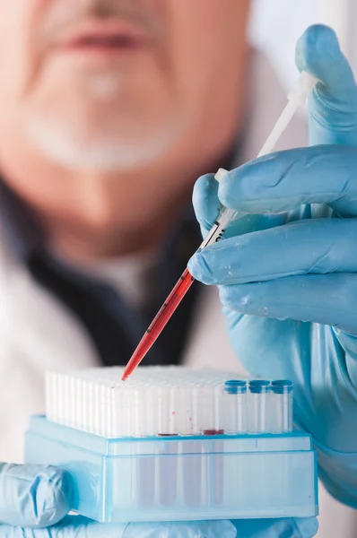 Scienziato con campioni di sangue — Foto Stock