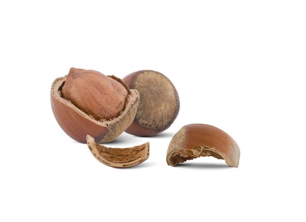 Broken hazelnuts — Stock Photo, Image