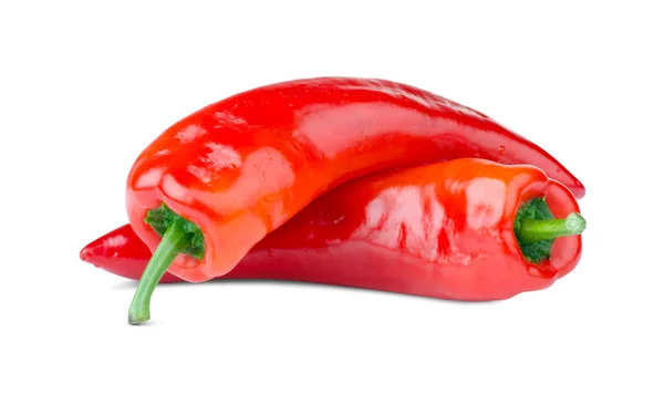 Rote Chilischote — Stockfoto