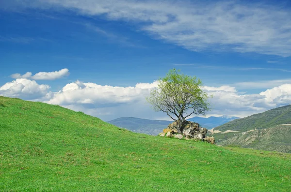 Green rolling hills under blue sky — Stock Photo, Image